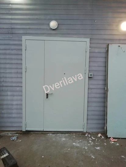 Двупольная противопожарная техническая дверь